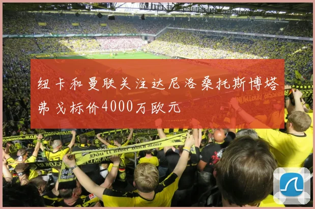 纽卡和曼联关注达尼洛桑托斯博塔弗戈标价4000万欧元